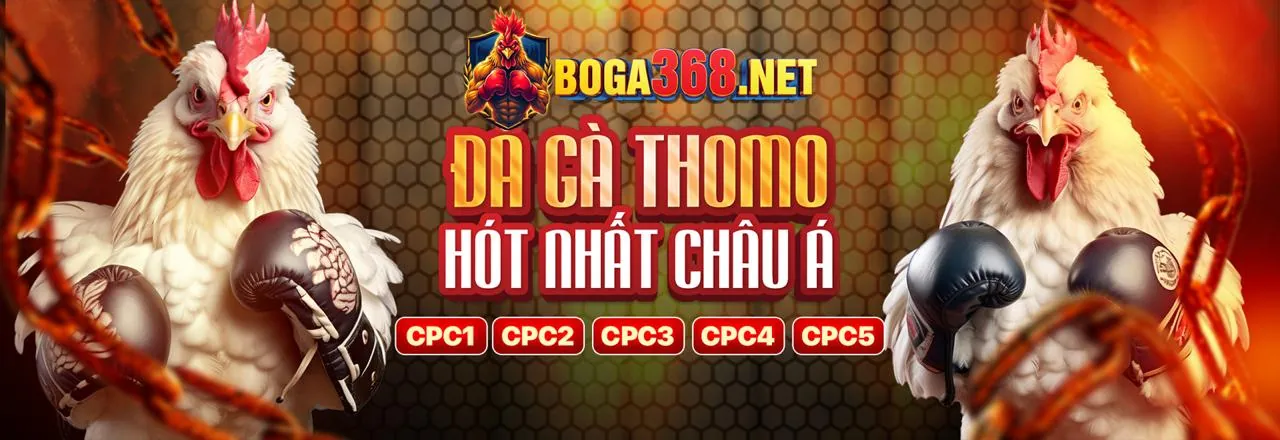Các tính năng và trò chơi nổi bật trong ứng dụng nhà cái vi88