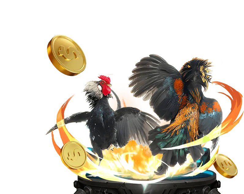 Hoàn trả hàng ngày đá gà tại VI88